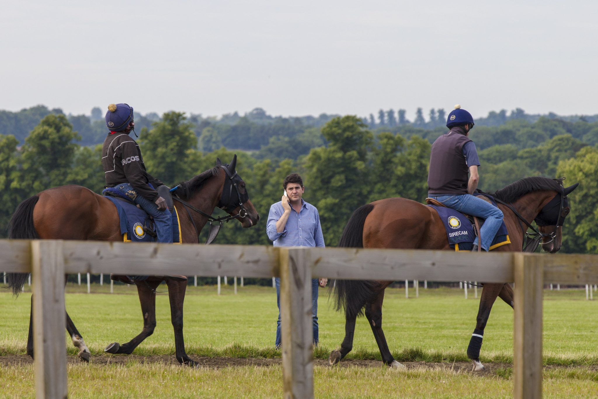 Hugo Palmer Racehorse Trainer