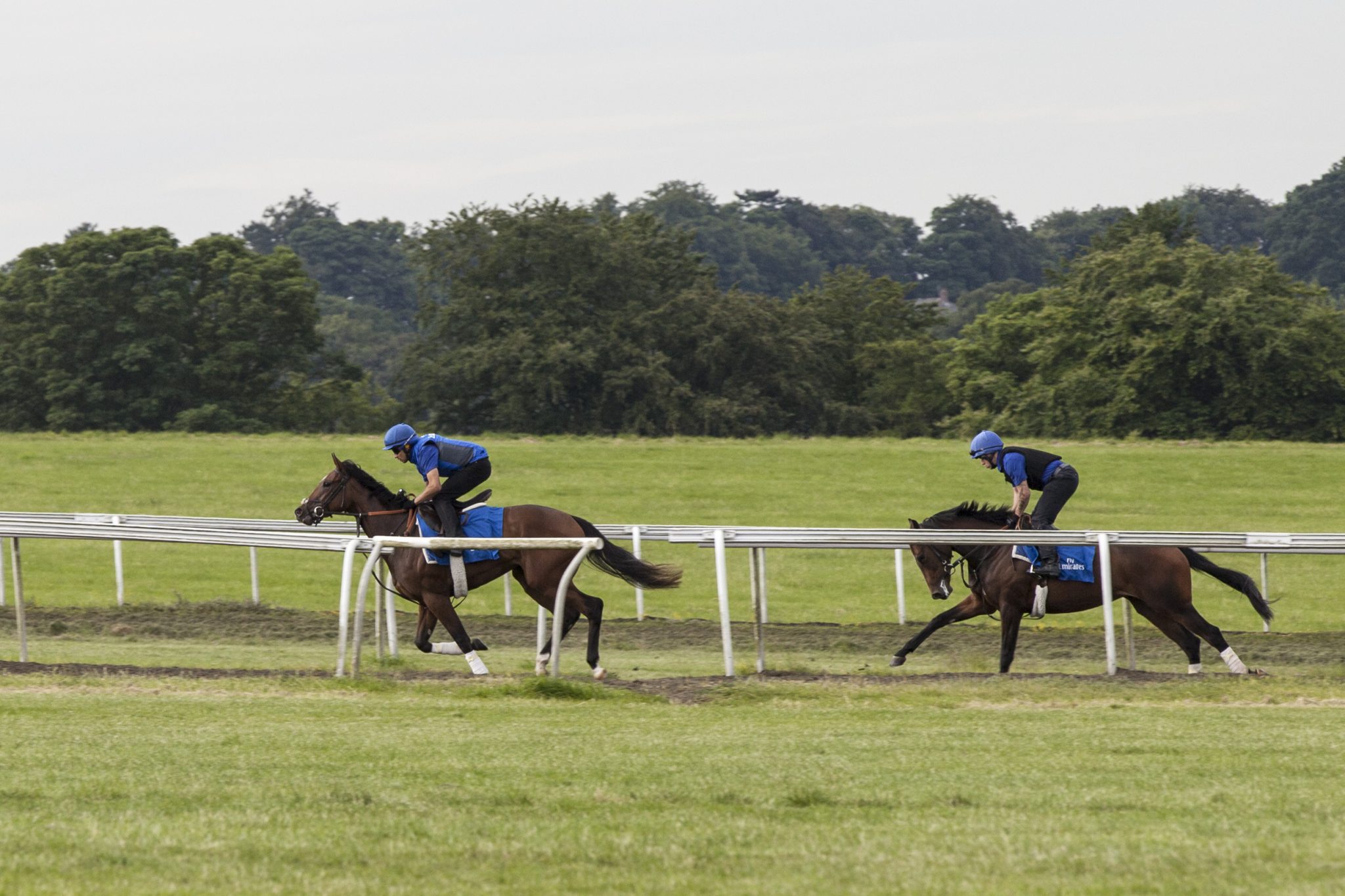 Newmarket Gallops